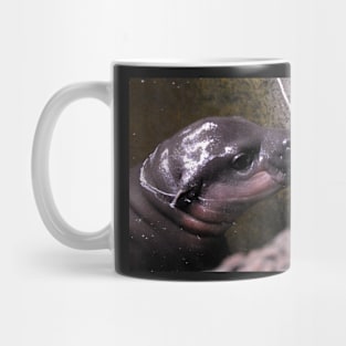 Baby Hippo Mug